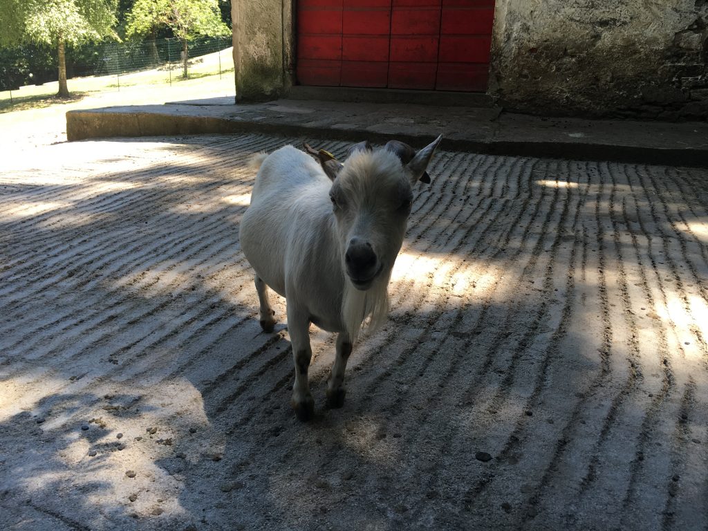Lago Maggiore Villa Pallavicino MammaInViaggio