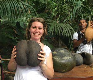 Coco de Mer MammaInViaggio