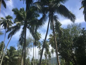 Seychelles MammaInViaggio