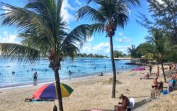 Mauritius spiagge e palme