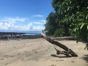 Madagascar Nosy Tanikely MammaInViaggio