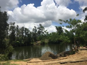 Madagascar Canale des Pangalanes MammaInViaggio