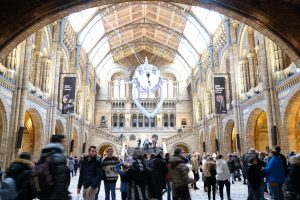 Londra Natural History Museum MammaInViaggio