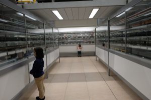 Galleria Baumgartner Museo del trenino MammaInViaggio