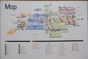 Londra Natural History Museum MammaInViaggio