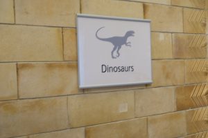 Londra Natural History Museum MammaInViaggio