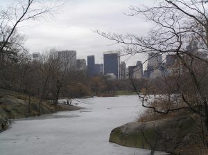 New York MammaInViaggio