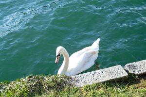 Slovenia Lago di Bled MammaInViaggio