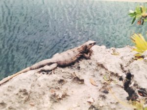 Jamaica Giamaica MammaInViaggio