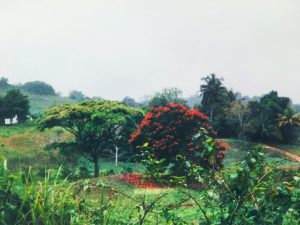 Jamaica Giamaica MammaInViaggio