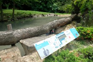 Parco Faunistico Natura Viva MammaInViaggio