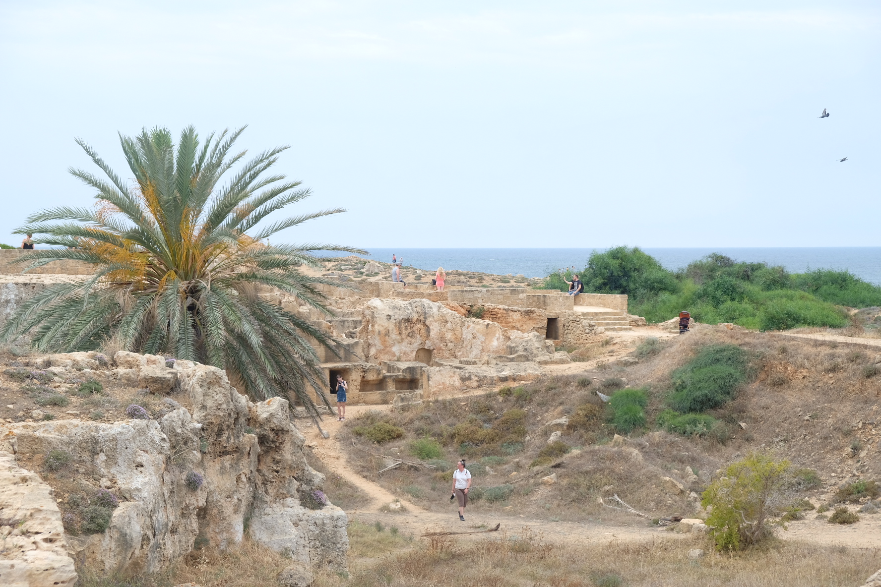 Cipro Paphos MammaInViaggio