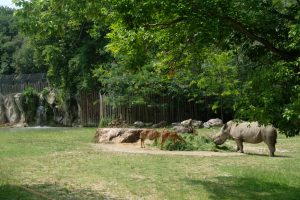 Parco Faunistico Natura Viva MammaInViaggio