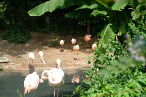 Parco Faunistico Natura Viva MammaInViaggio