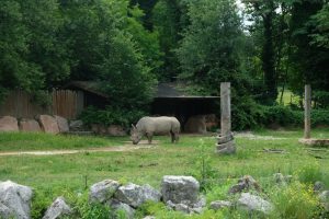 Parco Faunistico Natura Viva MammaInViaggio