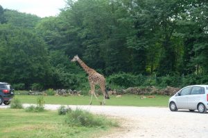Parco Faunistico Natura Viva MammaInViaggio