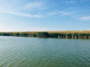 Parco del Delta del Po MammaInViaggio