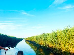 Parco del Delta del Po MammaInViaggio