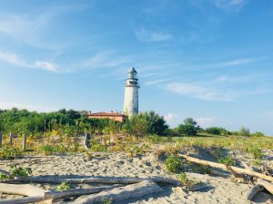Parco del Delta del Po MammaInViaggio