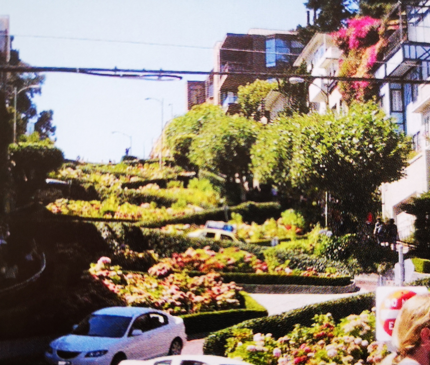 San Francisco Lombard Street MammaInViaggio