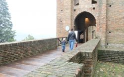 Musei Emilia Romagna