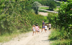 Langhe con bambini MammaInViaggio