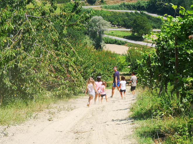 Langhe con bambini MammaInViaggio