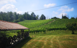 Langhe Agriturismo LaRossa MammaInViaggio