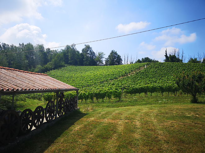 Langhe Agriturismo LaRossa MammaInViaggio