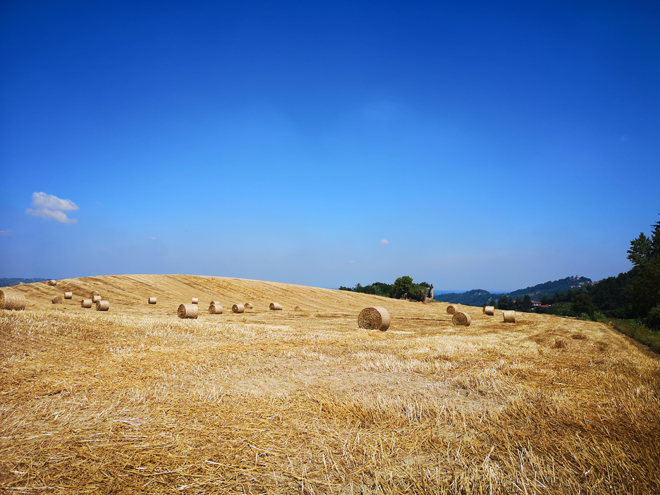 Langhe MammaInViaggio