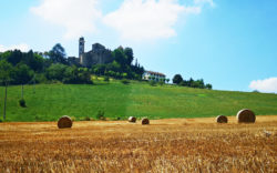Langhe MammaInViaggio