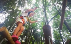 Parco Avventura Mottarone