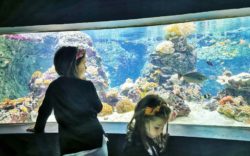 Aquatis Acquario Svizzera