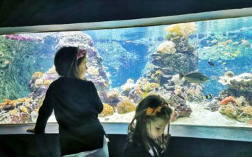 Aquatis Acquario Svizzera