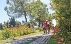 Viaggiare con i nonni