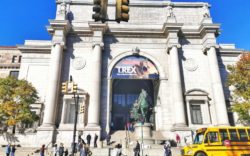 Musei New York