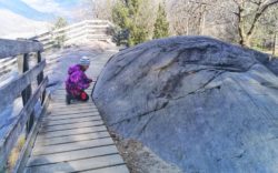 Parco Nazionale delle Incisioni Rupestri