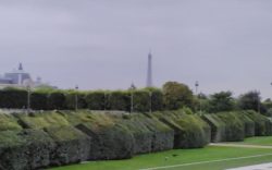 Tour Eiffel- Giardini des Tuilerie