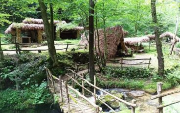 Bosco Del Vallino