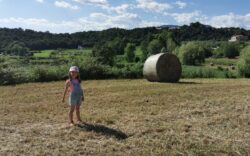 Laghi di Sovenigo