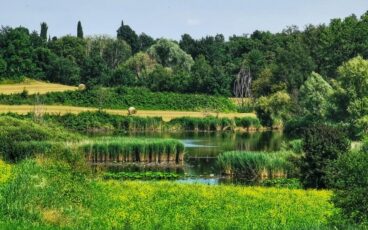 Laghi di Sovenigo