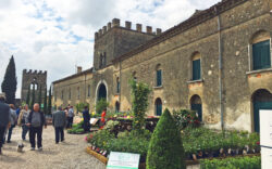 castellaro lagusello