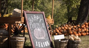 pumpkin-patch