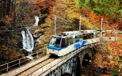 treno del foliage