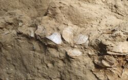 Archeologi per un giorno