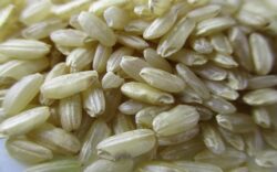 ricette con riso
