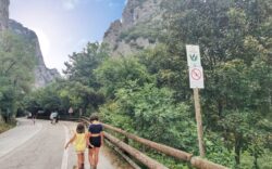 Gola del Furlo via Flaminia