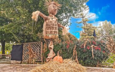 Halloween 2021 con bambini