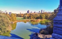 foliage New York central Park