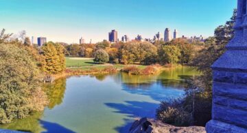 foliage New York central Park